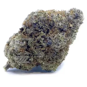 Blue Biscotti