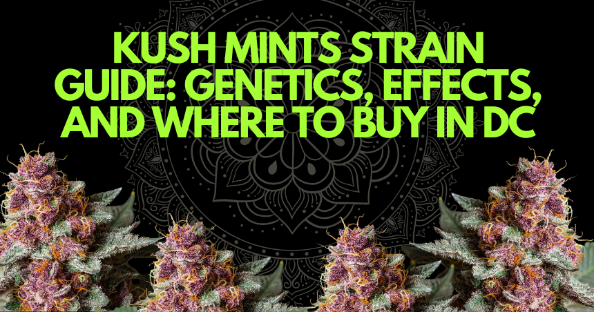 Kush Mints Strain Guide